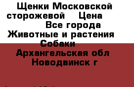 Щенки Московской сторожевой  › Цена ­ 25 000 - Все города Животные и растения » Собаки   . Архангельская обл.,Новодвинск г.